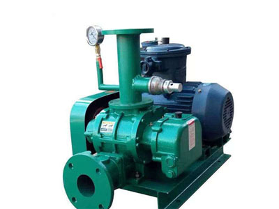 沼氣羅茨風(fēng)機